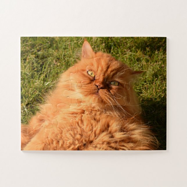 GINGER PERSIAN CAT JIGSAW QUEBRA-CABEÇA (Horizontal)