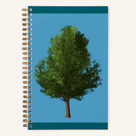 Ginkgo
