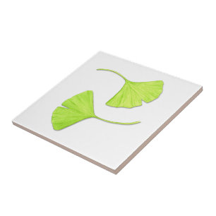 Ginkgo deixa Azulejo de arte natural