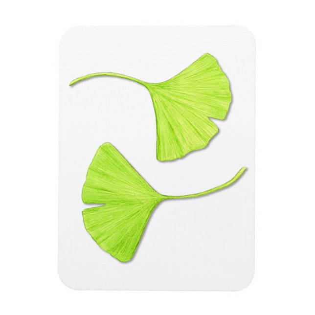 Ginkgo deixa ímã flexível (Vertical)