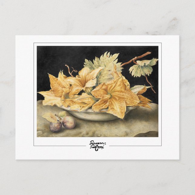 Giovanna Garzoni #1 - Cartão postal de arte (Frente)