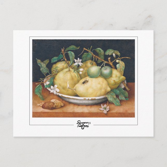 Giovanna Garzoni nº 4 - Cartão postal de arte (Frente)