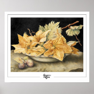 Giovanna Garzoni Zedign Art Poster nº 1