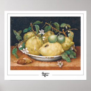 Giovanna Garzoni Zedign Art Poster nº 4