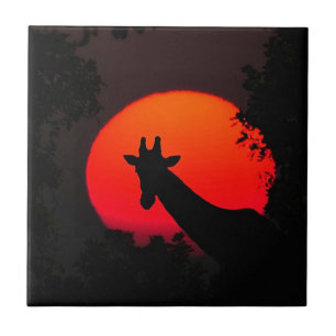 Girafa