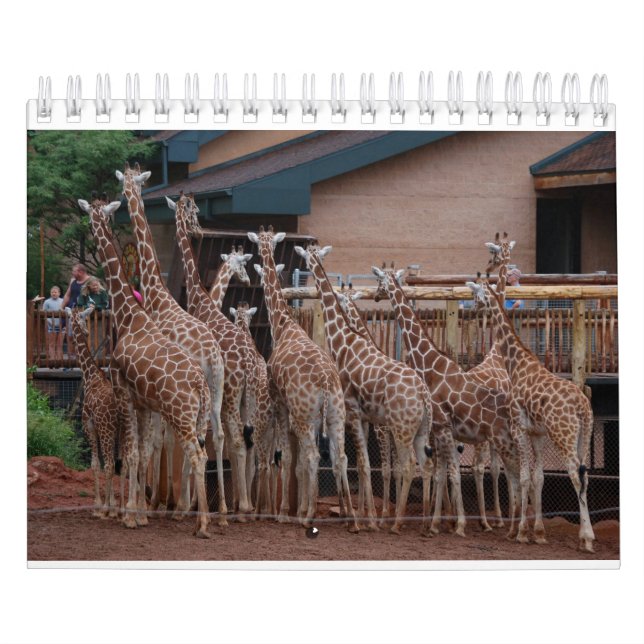 Girafa 2022 Calendário de 5,5" x 7" (Capa)