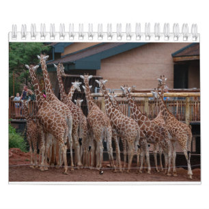 Girafa 2022 Calendário de 5,5" x 7"