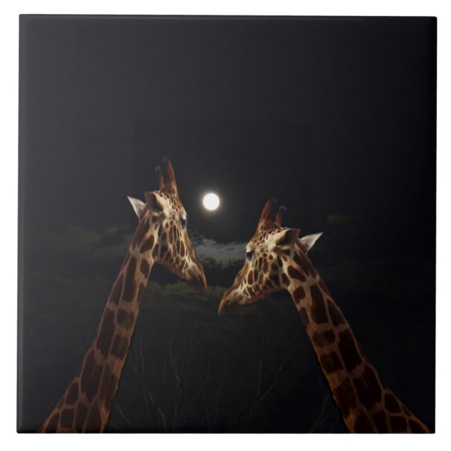 Girafa Amor À Lua, (Frente)
