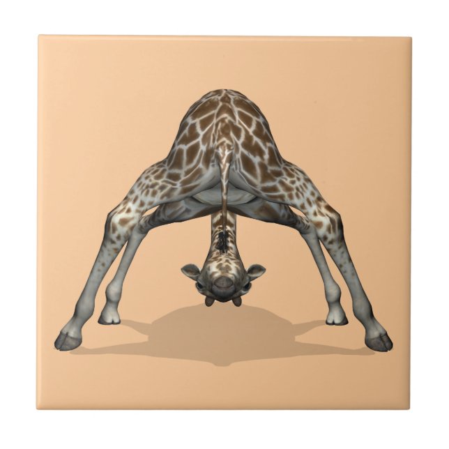 Girafa flexível (Frente)