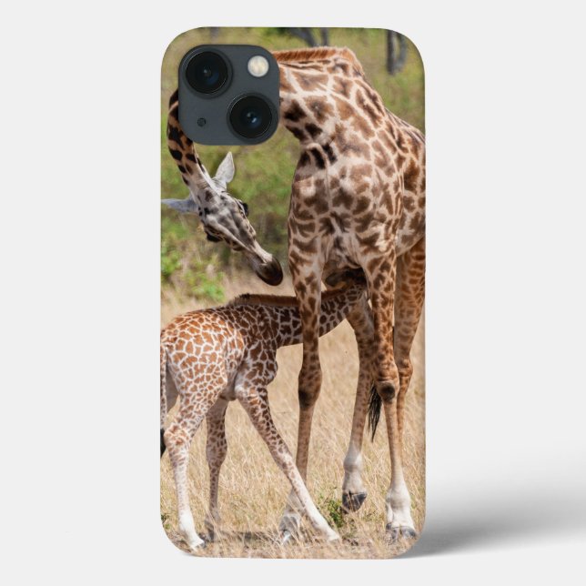 Girafa Mãe e Bebê no Quênia (Verso)