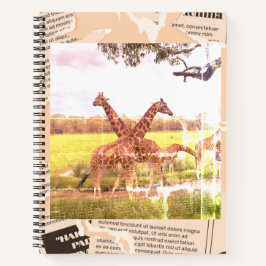 Girafa - Notebook