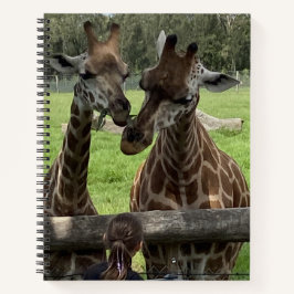 Girafa - Notebook