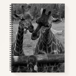 Girafa - Notebook