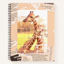 Girafa - Notebook