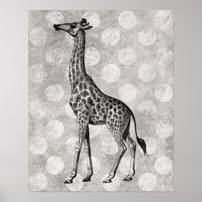 Girafa Poster - Impressão branco preto (Frente)