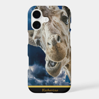 Girafas com um rosto Hilário giro 11