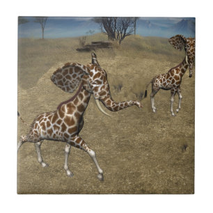 Girafas de elefante giratório