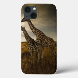 Girafas e a paisagem
