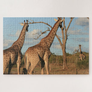 Girafas Jigsera Quebra-cabeça