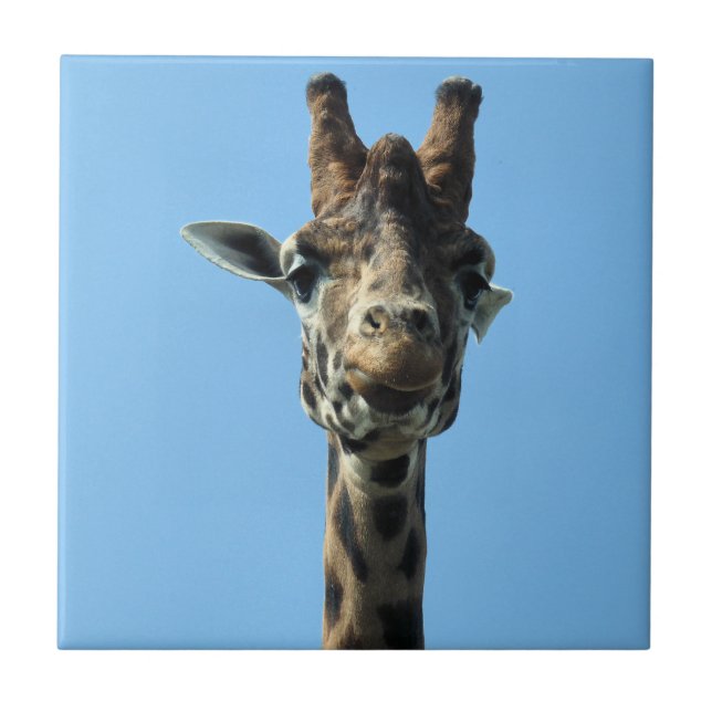 GIRAFFE (Frente)