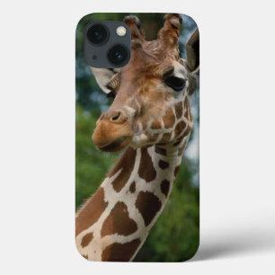 Giraffe Lovers