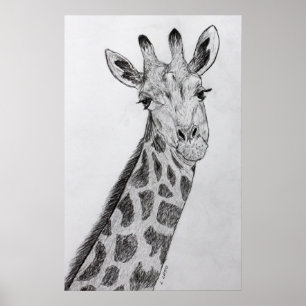 Giraffe Retrait Pencil Sketch Drach Art Impressão