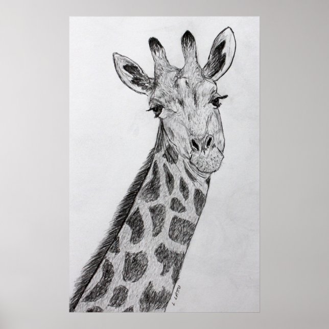 Giraffe Retrait Pencil Sketch Drach Art Impressão (Frente)