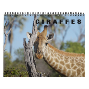 GIRAFFES - Calendário 2019