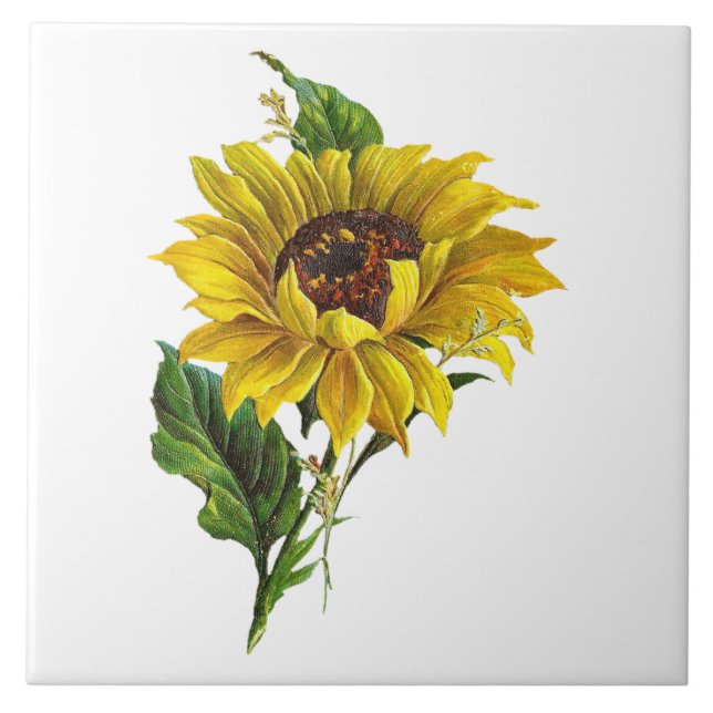 Girasol de Fazenda Botânica Vintage (Frente)