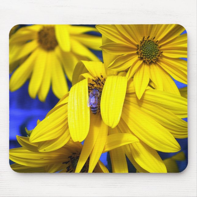 Girassóis Amarelos N Blue Bee Mousepad (Frente)