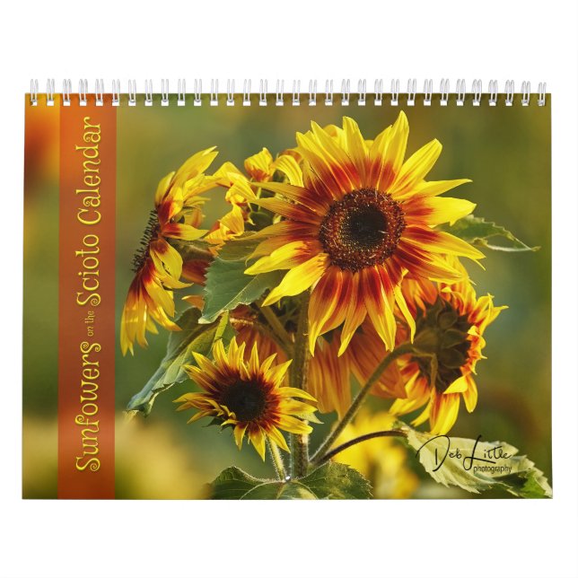 Girassóis no Calendário de Scioto (Capa)