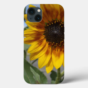 Girassol Amarelo ouro, iPhone 13 Case