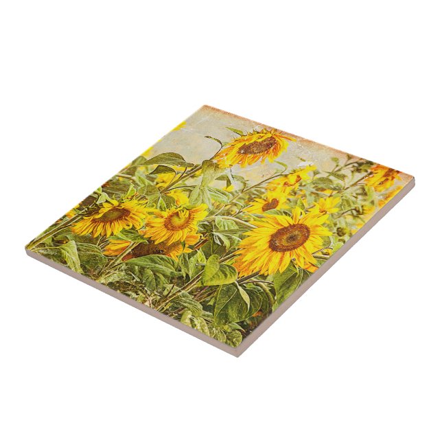 Girassol Campo Vintage Bright Yellow Country Art (Lateral)