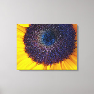 Girassol com Arte de Canvas de Fechamento do Centr