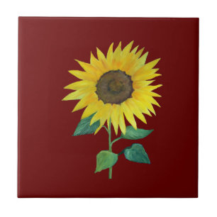 Girassol da casa da quinta