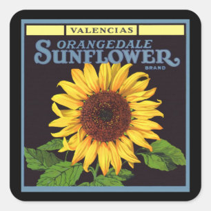 Girassol de Orangedale da arte da etiqueta da