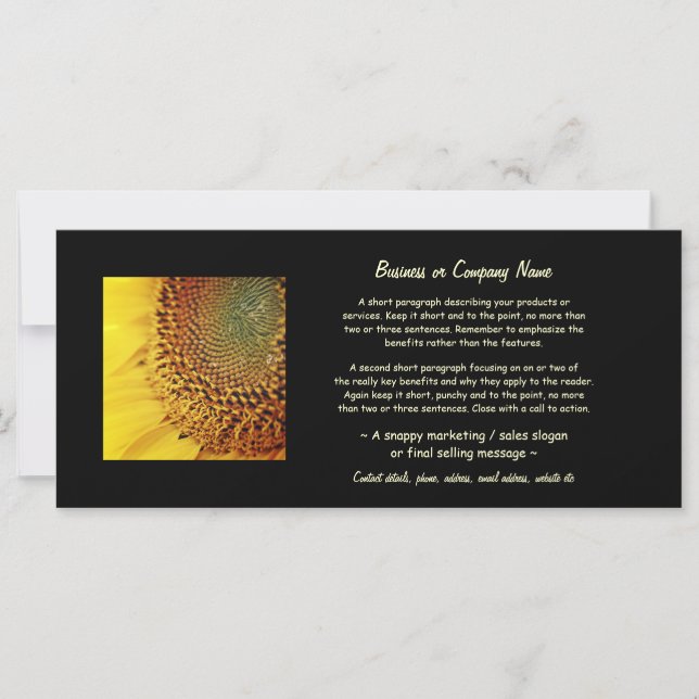 Girassol fresco e Ouro (Frente)