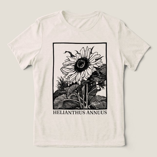 Girassol (Helianthus annuus)  (Design frontal)