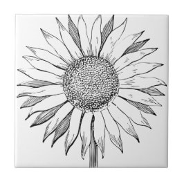 Girassol Ilustrado