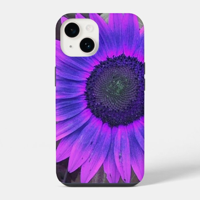 Girassol Rosa e Roxo (Verso)