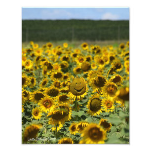 Girassol sorridente - Impressão de foto 11x14