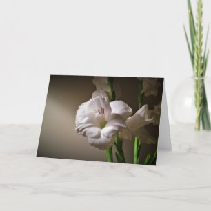 Gladioli, cartão