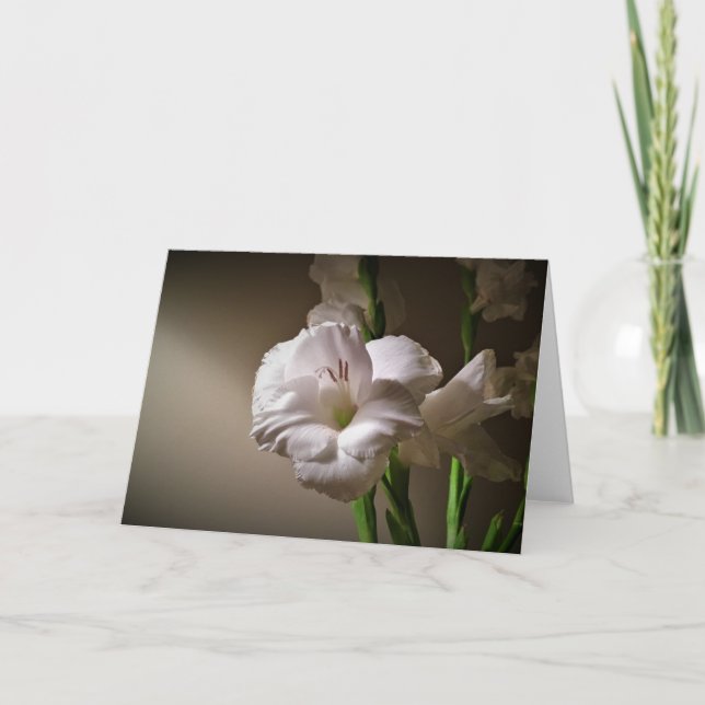 Gladioli, cartão (Frente)