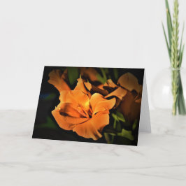 Gladioli, cartão