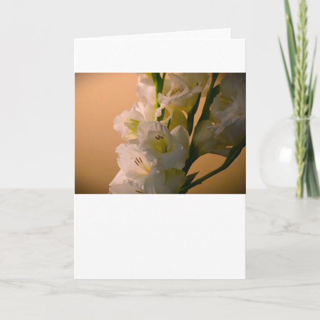 Gladioli, cartão (Frente)