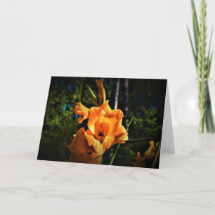 Gladioli, cartão