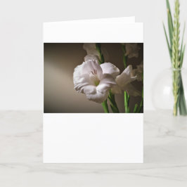 Gladioli, cartão