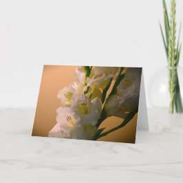 Gladioli, cartão