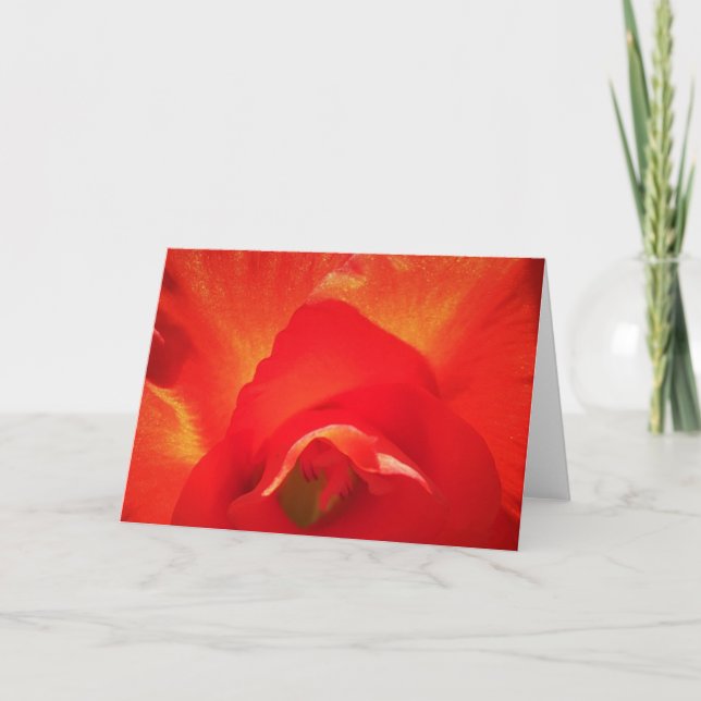 Gladioli, cartão (Frente)