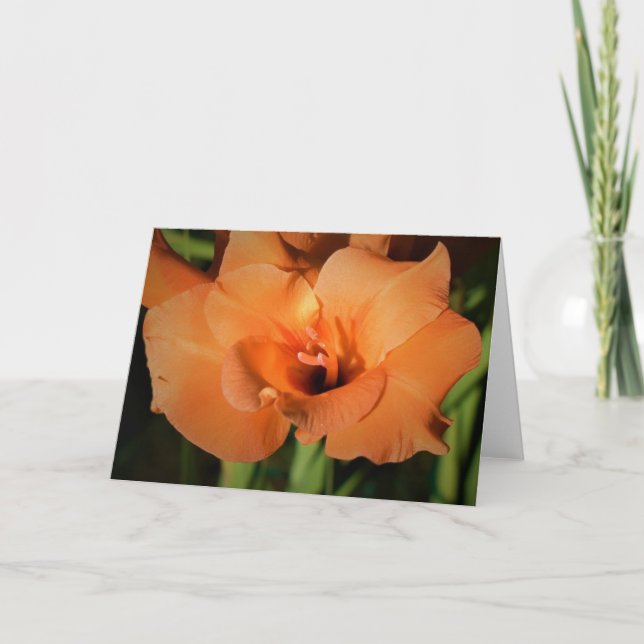 Gladioli, cartão (Frente)